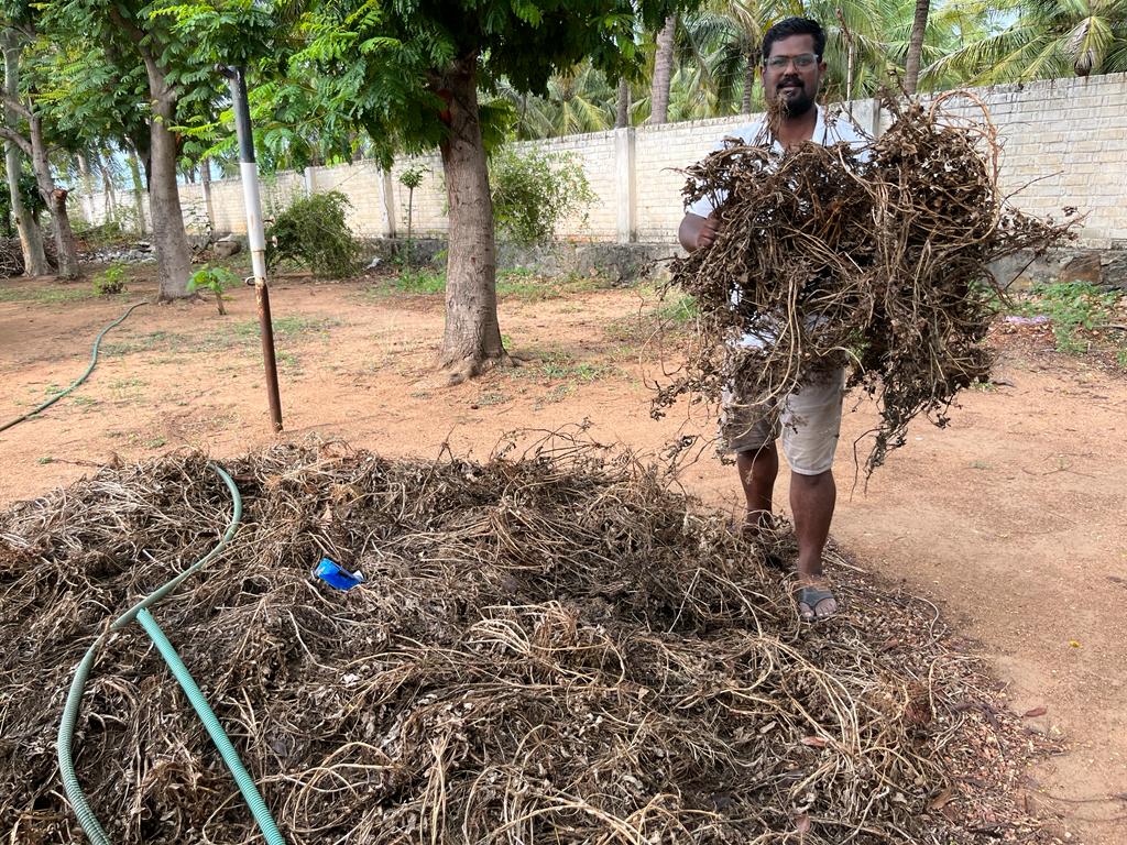 Preparing Vermi composting for Kitchen Gardening on 25th July 2023 