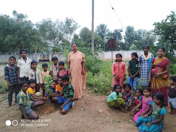 Seed Balls Thrown at Michealpuram