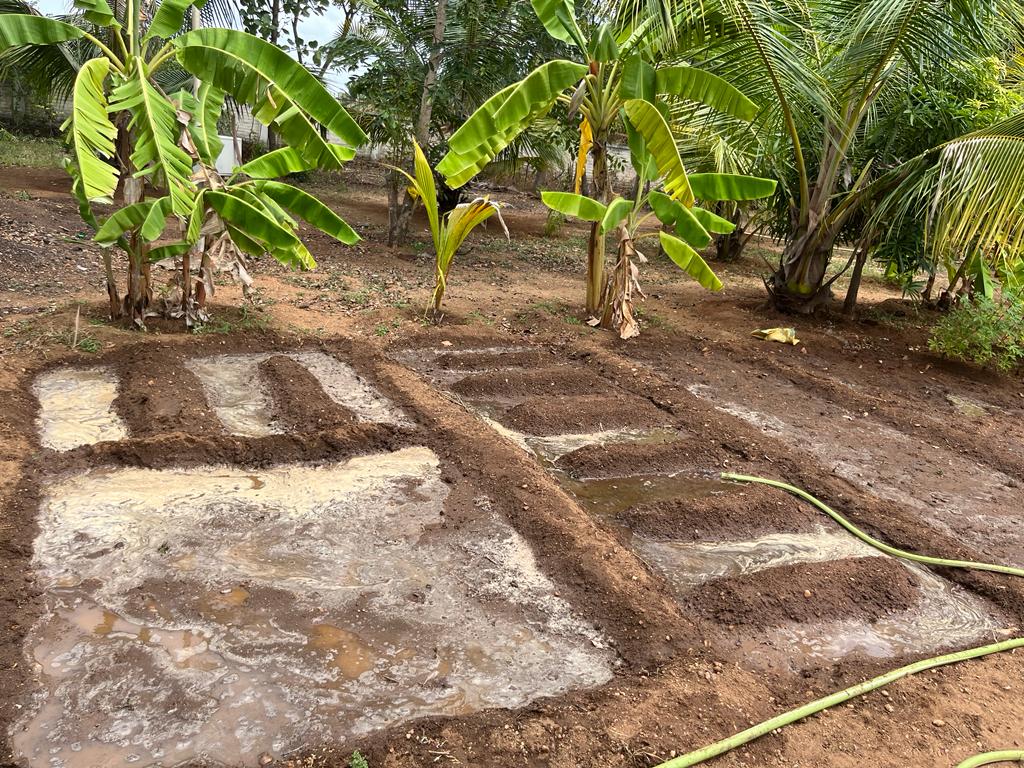 Preparing Bed at Erode on 24 th July 2023