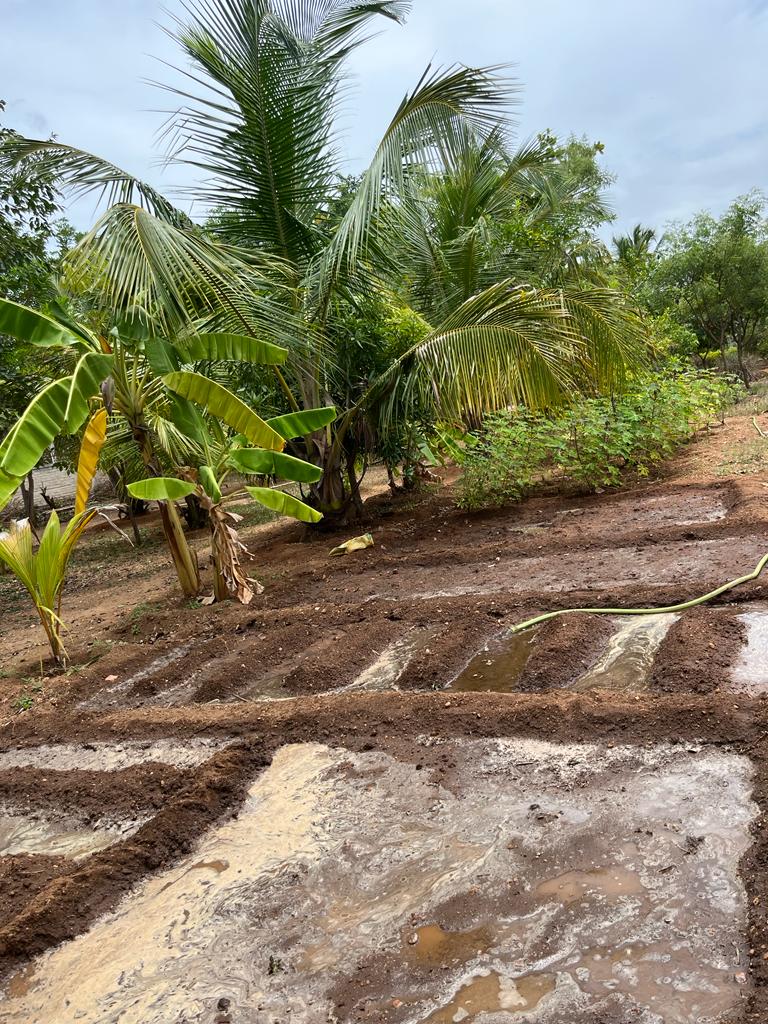 Preparing Bed at Erode on 24 th July 2023