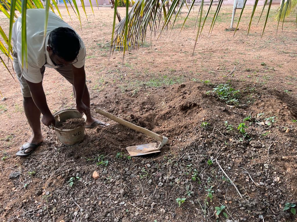 Preparing Vermi composting for Kitchen Gardening on 25th July 2023 