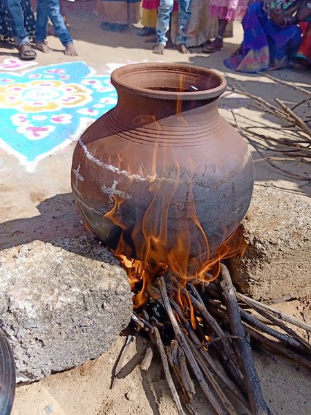 Pongal Festivel Celebrated at Michealpuram, Kallakuruchi
