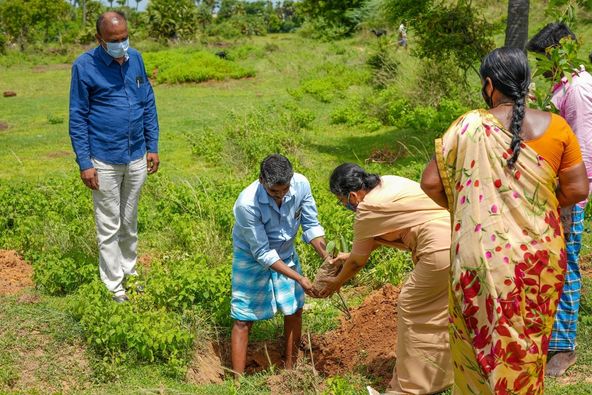 A journey of planting 10,000 trees started from Thiruvallur district