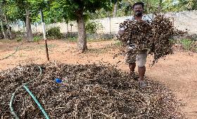 Preparing Vermi composting for Kitchen Gardening on 25th July 2023 