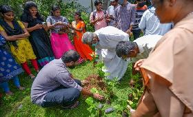 We have plant and distributed 150 plants in Madhavaram, Chennai