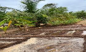 Preparing Bed at Erode on 24 th July 2023