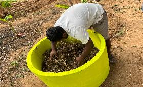 Preparing Vermi composting for Kitchen Gardening on 25th July 2023 