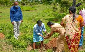 A journey of planting 10,000 trees started from Thiruvallur district