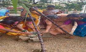 Pongal Celebration at Aruwye