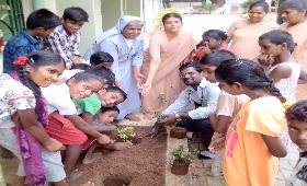 World Environment Day was celebrated by Children in SESC - June, 5th 2018
